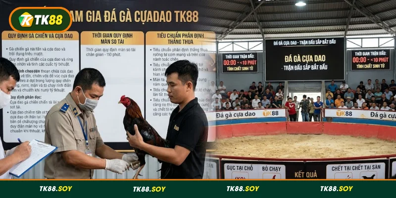 Quy tắc cần nắm rõ khi tham gia đá gà cựa dao TK88
